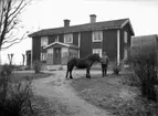 Tvåvånings bostadshus med glasad veranda .
En man med sin häst.
Johan Larsson