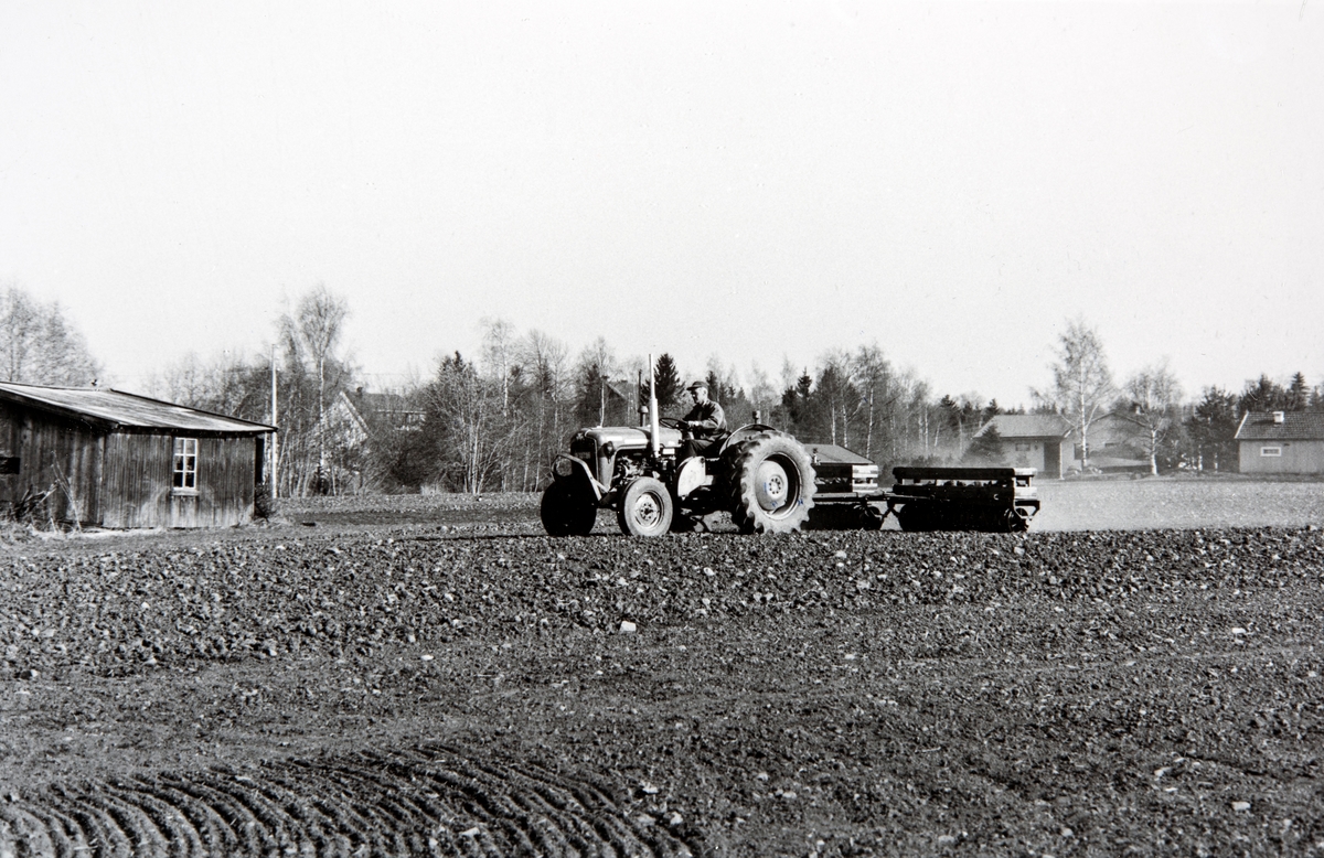 Odd Hjermstad (1925-1997) tromler jordene ved Hjermstad smia, Hjermstad gård, 86/1. Tromling, våronn.