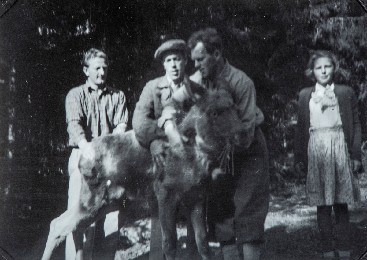 Gruppe 4 personer med en elg kalv. Fra venstre: Sigurd Sjøenden, Kåre Dagfinrud, Arild Dagfinrud og Gerd Dagfinrud. Elg kalven ble funnet av Arild Dagfinrud en morgen han var ute å brøytet snø. Kalven var blitt forlatt av sin mor. Kalven ble tatt vare på, og ble plasert i låven på Størydingen, der den ble foret opp og passet på igjennom vinteren. Bilde er i fra da kalven ble sluppet ut i det fri igjen.