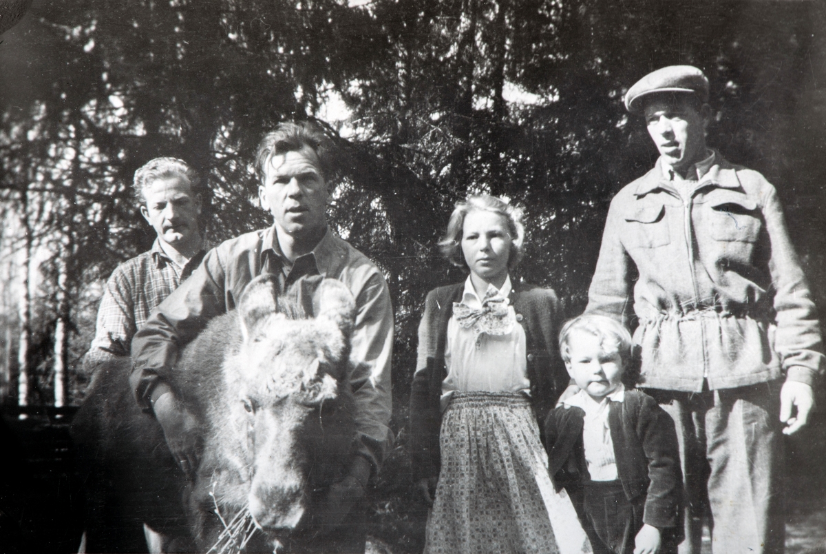 Gruppe 5 personer med en elg kalv. Sigurd Sjøenden, Kåre Dagfinrud, Arild Dagfinrud, Gerd Dagfinrud og Arnold Dagfinrud (liten gutt). Elg kalven ble funnet av Arild Dagfinrud en morgen han var ute å brøytet snø. Kalven var blitt forlatt av sin mor. Kalven ble tatt vare på, og ble plasert i låven på Størydingen, der den ble foret opp og passet på igjennom vinteren. Bilde er i fra da kalven ble sluppet ut i det fri igjen.