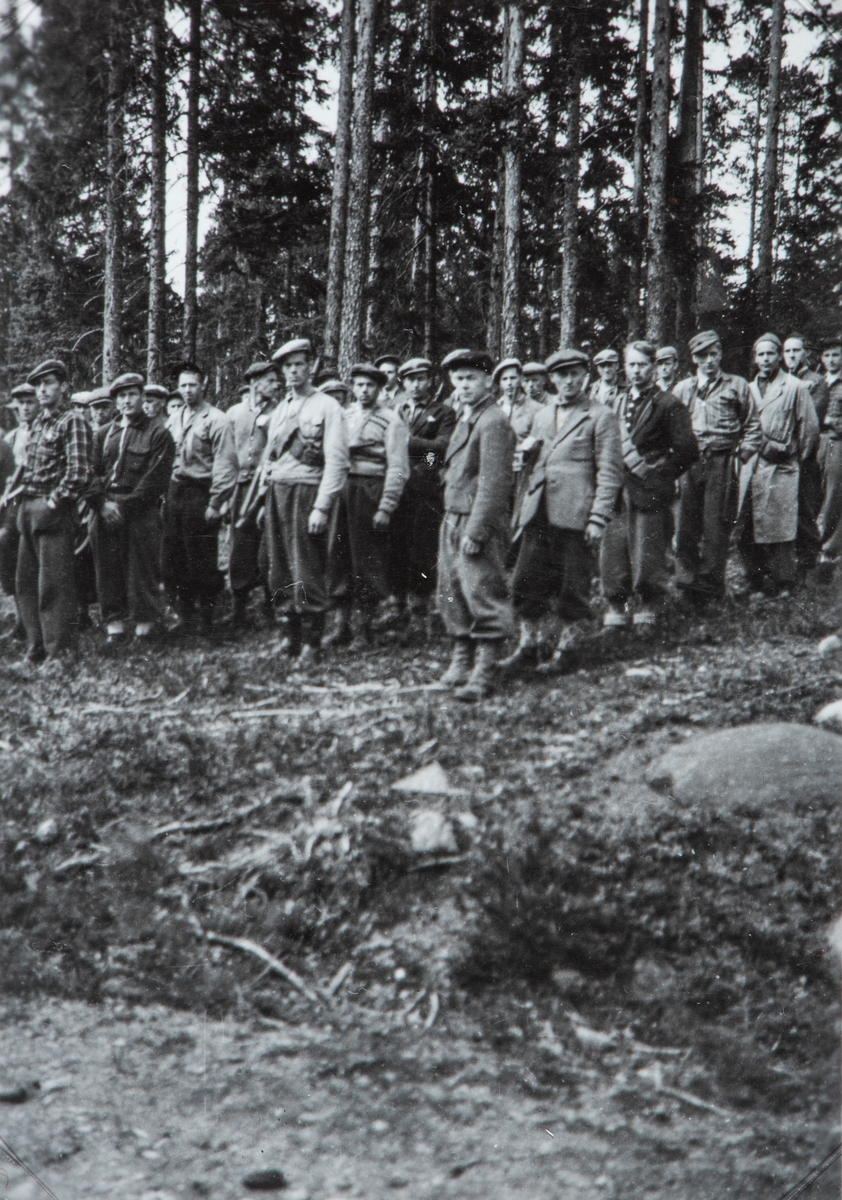 Hjemmestyrkene samlet vet Stormyra, Vallset, Stange i mai 1945. Hjemmefronten.