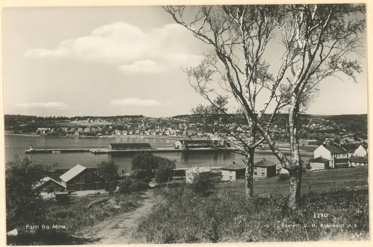 Fotograf har stått i Melløsbakken.
Detaljer: Gammel treindustri, Værlegata, Fjordveien, Port Arthur, Værlebrygga, deler av Jeløy.
Historikk: Fjordveien ble påbegynt i 1938.