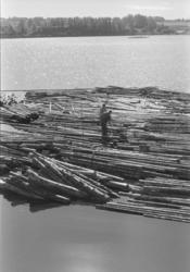 Tømmersleping, Åkersvika, Mjøsa, Hamar. Tømmeret bindes samm