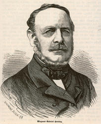 Fiskeriinspektør Magnus Gabriel Hetting [papirkunst]