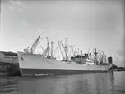 M/S HELENE BAKKE. Fotot taget i april månad 1960.