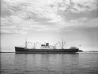 M/S OGEKA BAKKE. Foto från Köpenhamn 1959.