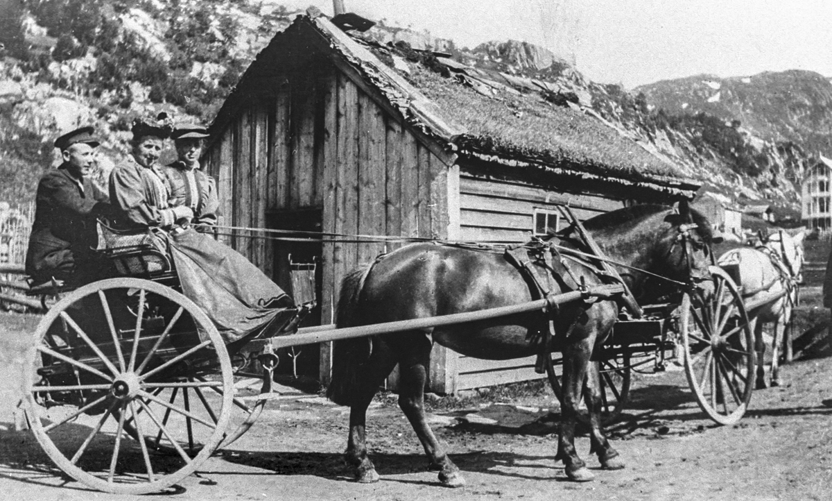 Turistar med hesteskyss på Seljestad