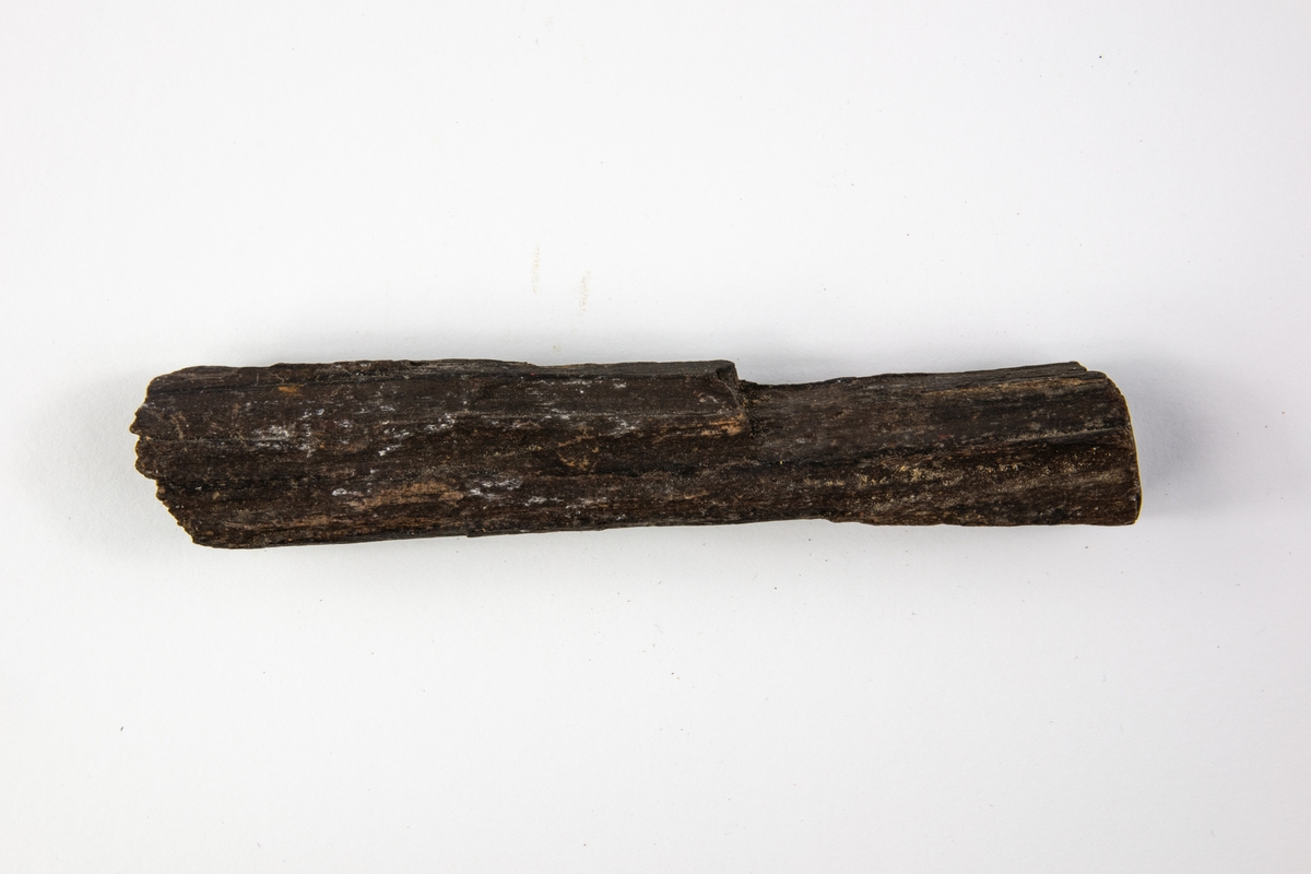 Fossilt trä kallas även för förkislat trä. Fossilt trä bildas då ett dött träds beståndsdelar utbyts ut genom cirkulerande vatten som medför sediment. Detta exemplar är en liten del av ett stort träd med en stor diameter. Stycket är suttit i ytterkanten vid barken. Exemplaret har okänt ursprung men ingår i Adolf Andersohns samling.

Bergart/Fossil/Mineral: palygorskit
Varietet: 
Klassificering: 
Paragenes: 

Land: 
Fyndplats: 

Stuffen ingår i samlingen från