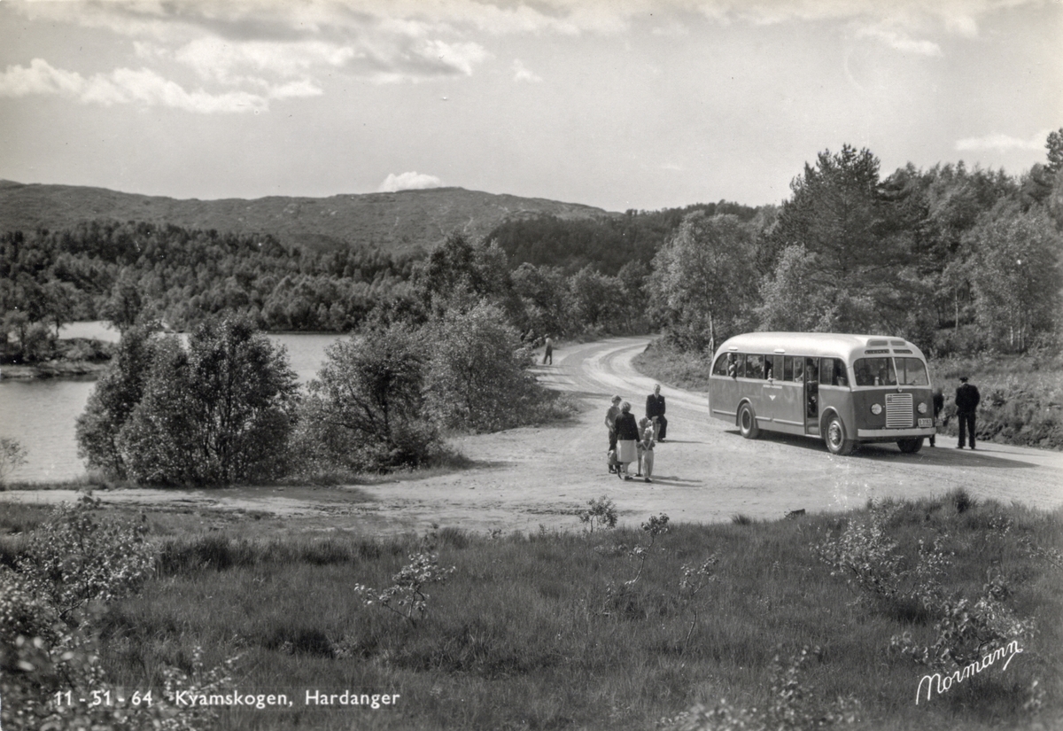 Postkort; Kvamskogen