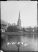 Utsikt över Svartån från nordväst mot Västerås Domkyrka.