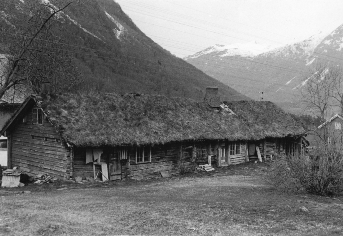 Dokumentasjonsbilder i serie av et stovehus i Øvstegara på Løset i Stordal. Denne stova er senere flyttet til tunet ved gamlekirka i Stordal.