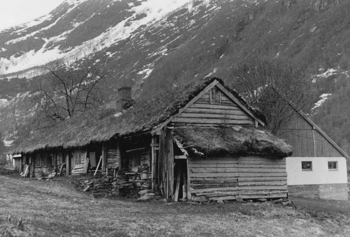 Dokumentasjonsbilder i serie av et stovehus i Øvstegara på Løset i Stordal. Denne stova er senere flyttet til tunet ved gamlekirka i Stordal.