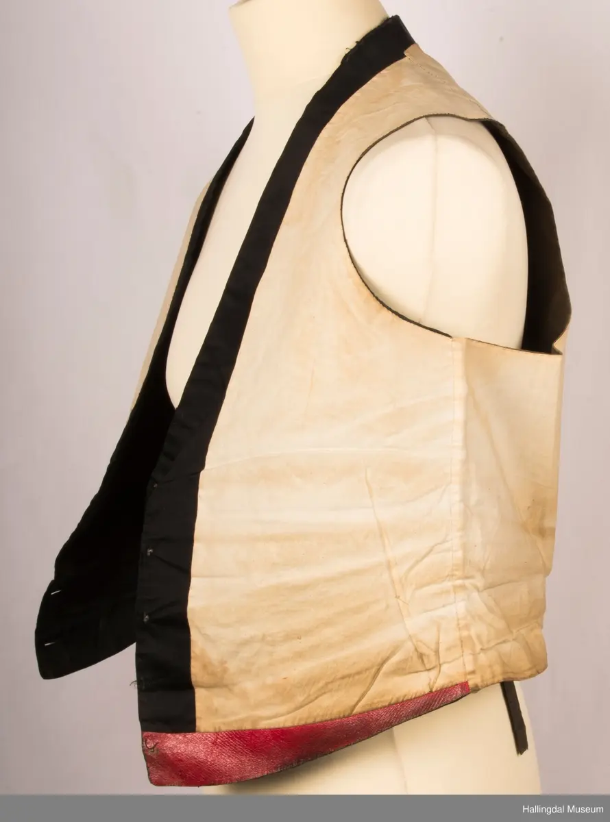 Vest