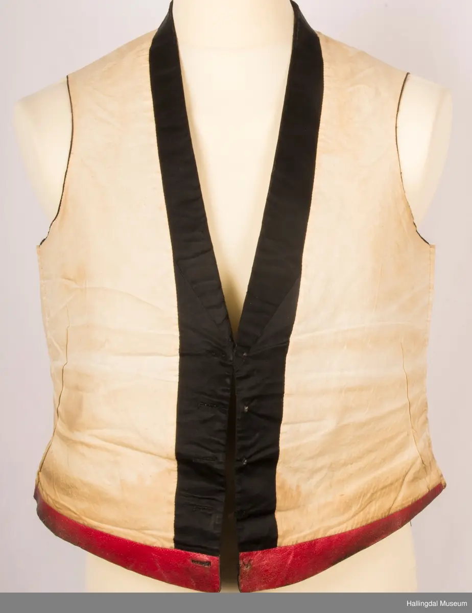 Vest