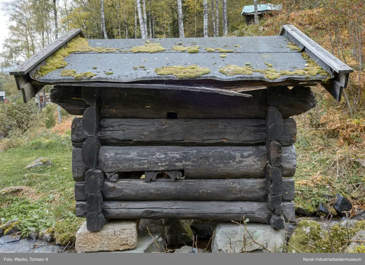 Kvenn
