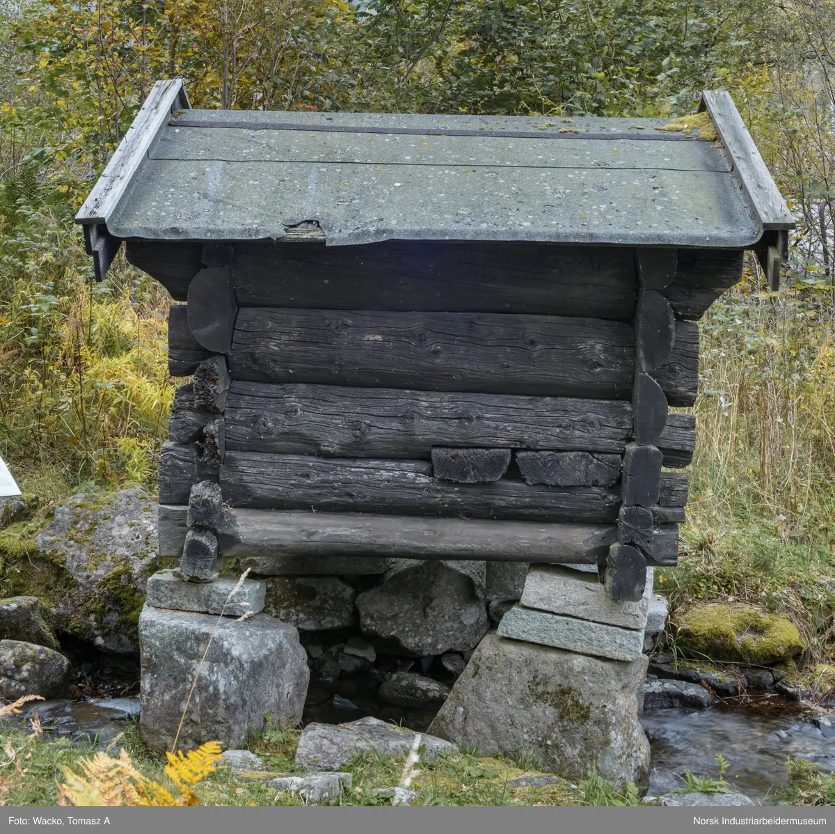 Kvenn