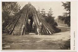 Vykort med motiv från Skansen. "Från Skansen. Lappkåta"