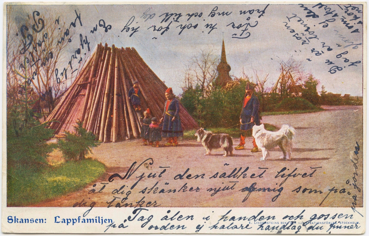 Vykort med motiv från Skansen. "Lappfamilj"