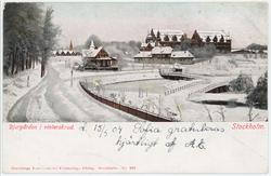 Vykort med motiv från Skansen. "Djurgården i vinterskrud." V