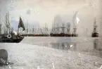 Segelfartyg i Kalmar hamn 1902.