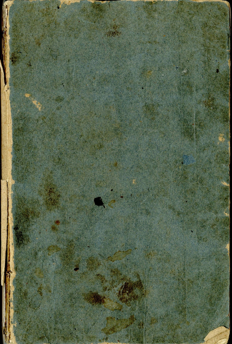 I gråblått omslag. Folioformat. Innehåller anteckningar om Skåne och resor till Stockholm, kontinenten med flera platser.