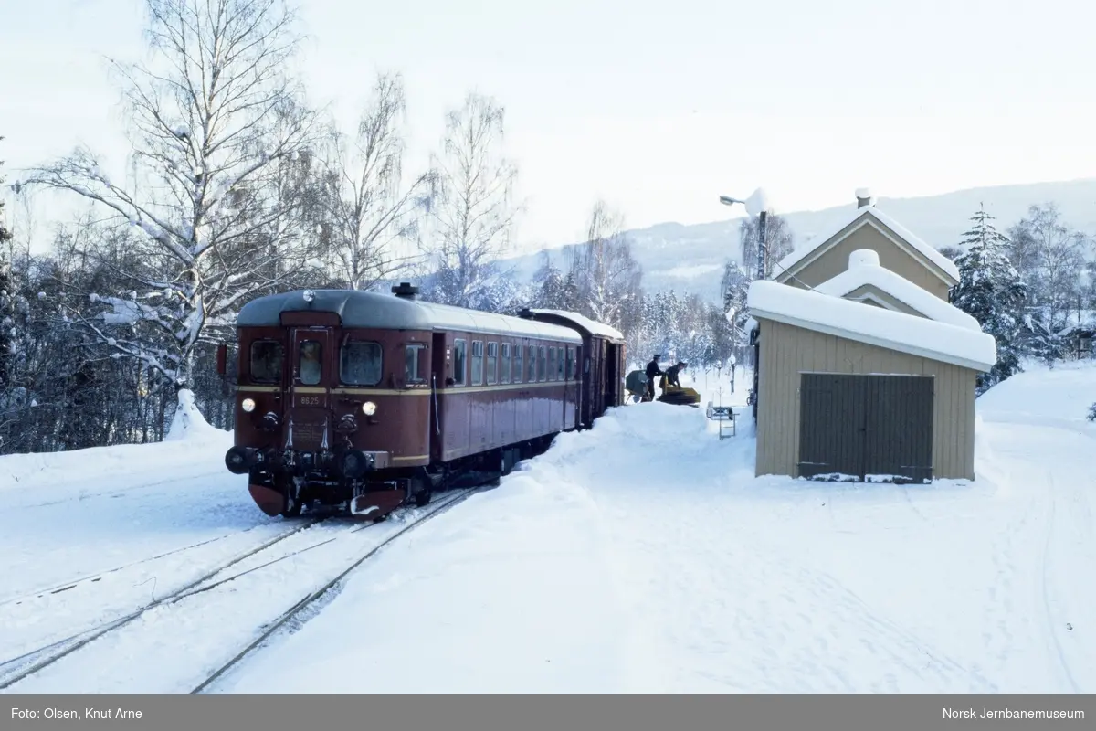 Dieselmotorvogn BM 86 25 med persontog til Rødberg på Veggli stasjon