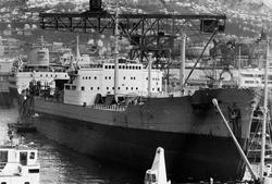 MT SVEVE (Ex. NAKSKOV) (bygget i 1960) til kais. Havnekraner
