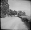 Vid Mälarens strand till vänster i bild skymtar Ångfartyg S/S Mariefred som trafikerade mellan Mariefred-Läggesta.