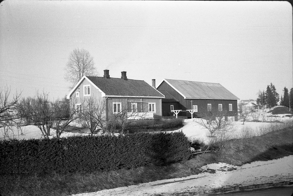 Birkeland på Kraby, Østre Toten.