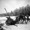 Luftvärnsautomatkanon m/1940, 20 mm. Fältövning, vinter.