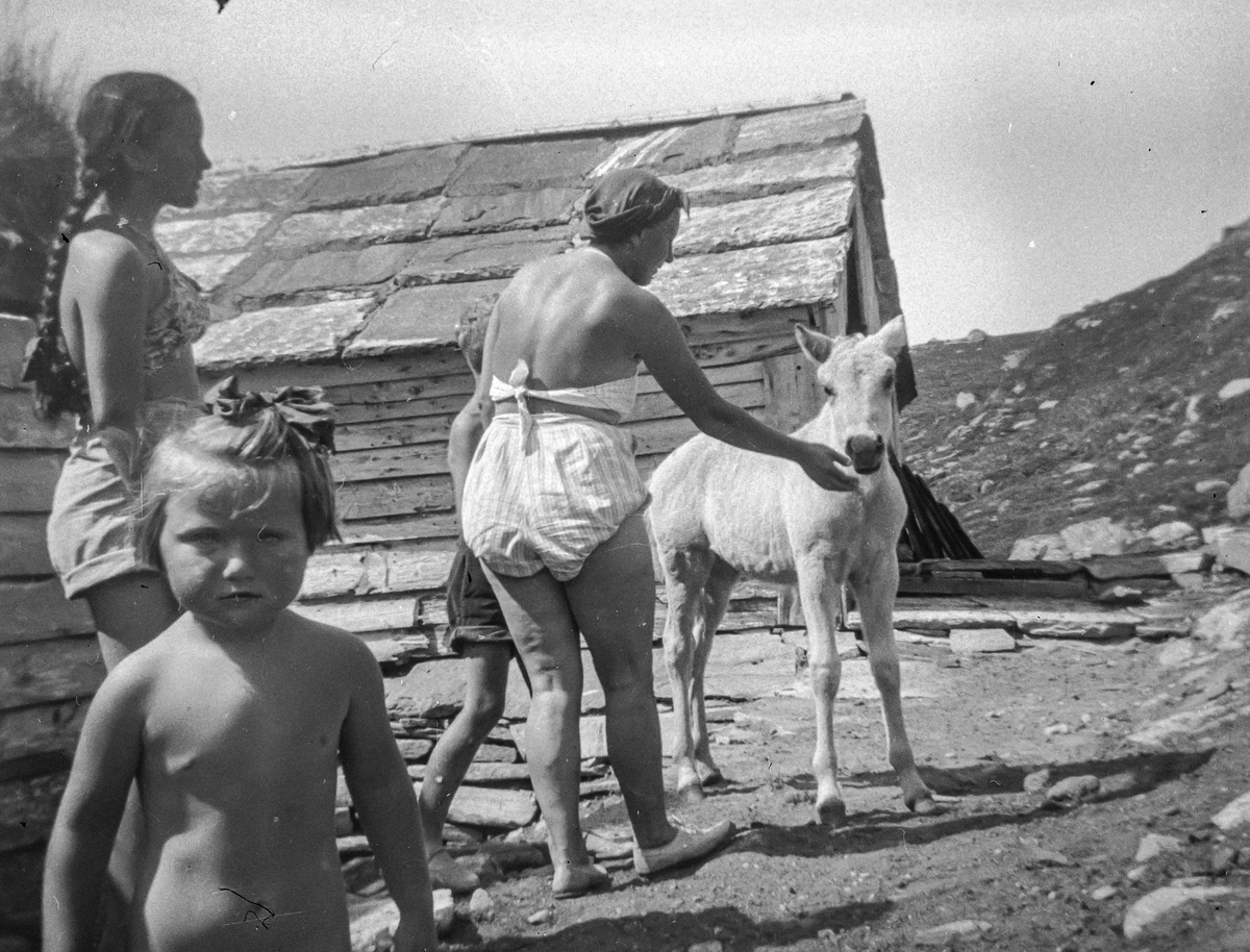 Familien Christensen på utflukt på tur til Torekovstølen ca 1949/50. 
