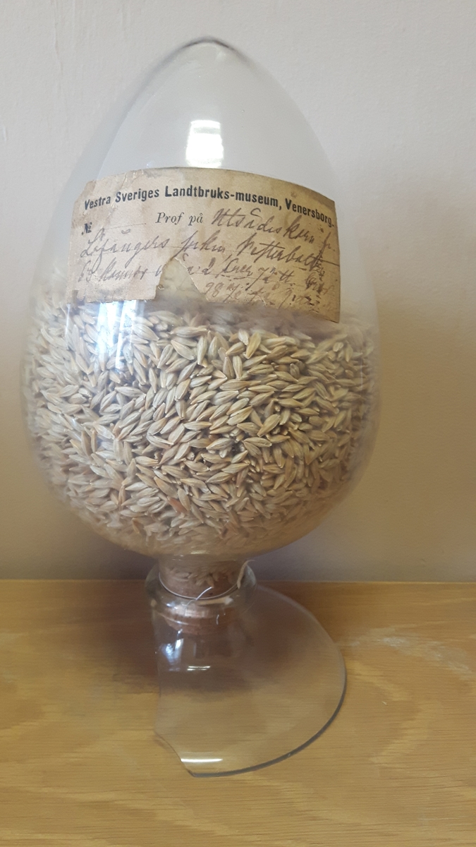Glasbehållare innehållande fröer av korn (Hordeum). På etiketten står Utsädeskorn från Löfångers sn, Vesterbotten.

Ingår i en frösamling under namn: ''Westra Sveriges Lantbruksmuseum''. Bildat 1880 efter lantbruksmötet i Borås. Samlingen, vilken består av glasbehållare innehållande frön från svenska kulturväxter och träd, uppställdes först på länsresidenset i Vänersborg.

Samlingen kom att bli en av Vänersborgs museums 4 grundsamlingar och uppställdes i museets övre våning vid museets öppnande 1891.

Troligen är glasbehållaren tillverkad vid Reijmyre glasbruk, ligger i Rejmyre, norr om Norrköping.