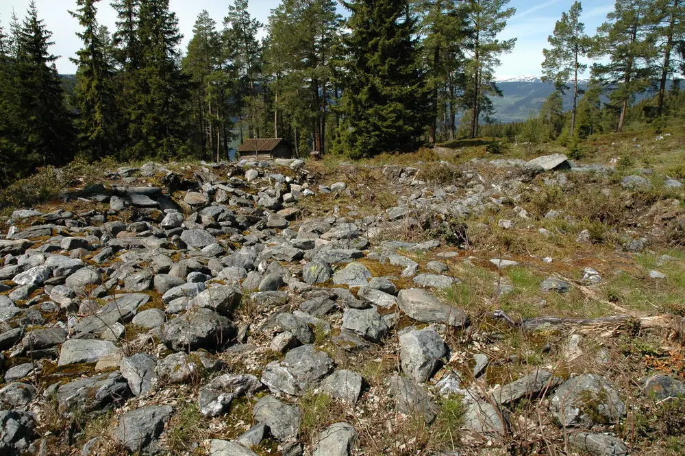 Stort felt med stein