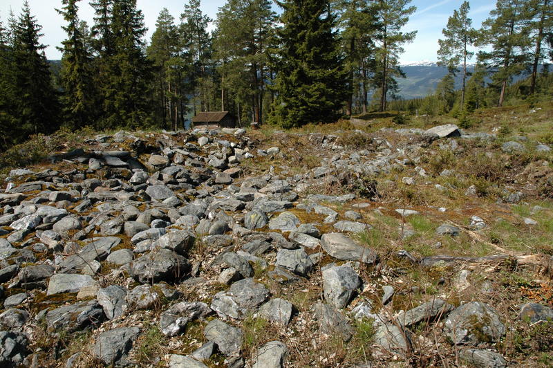 Stort felt med stein