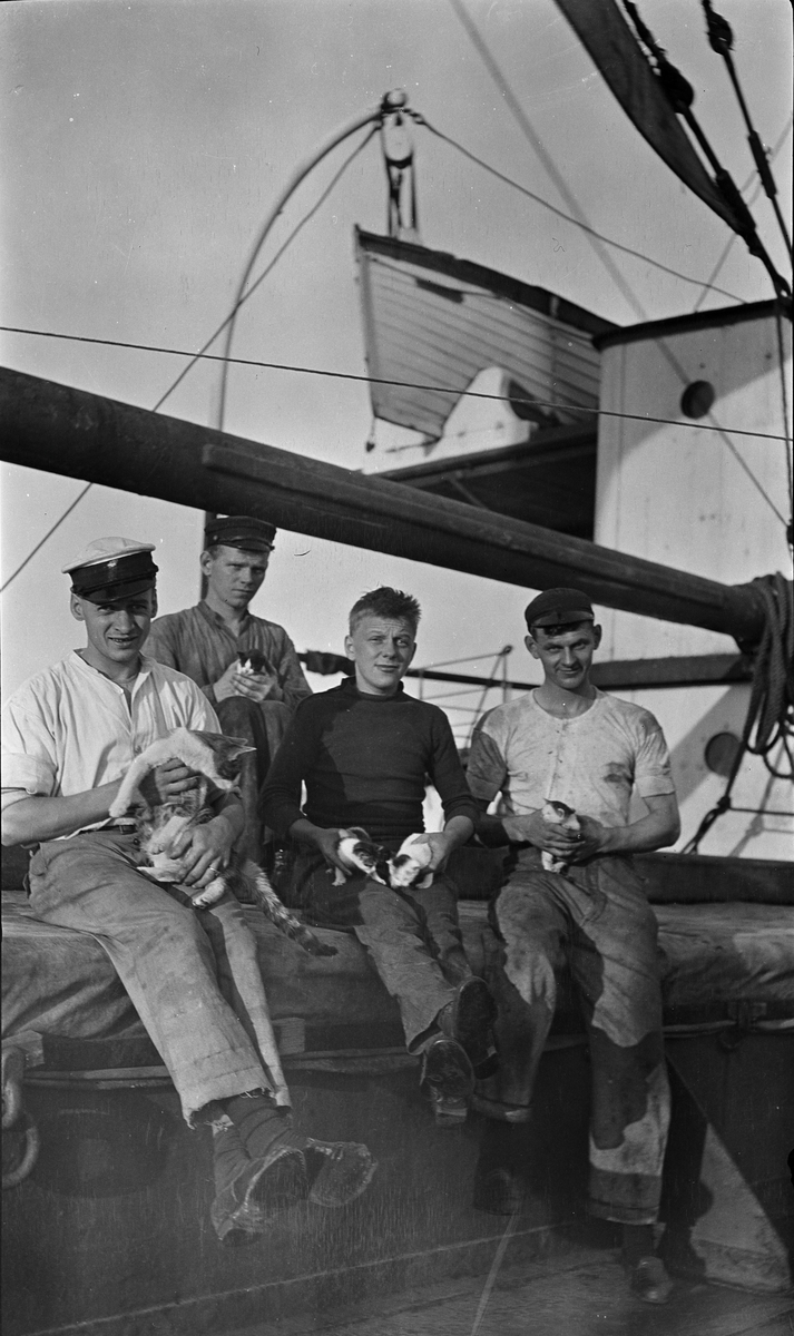 Fire unge sjømenn som holder katt og kattunger ombord på D/S STORFOND, stuert Lars Johansen til venstre.