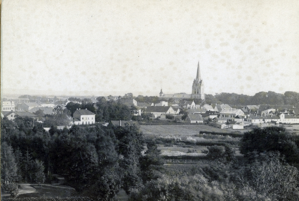 Halmstad på 1890-talet.
Vy taget från torntrapporna på Galgberget.