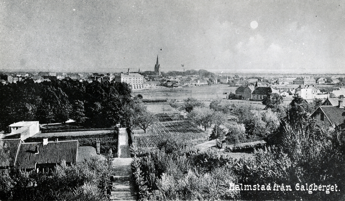 Vy av Halmstad taget från Galgberget i slutet av 1890-talet.