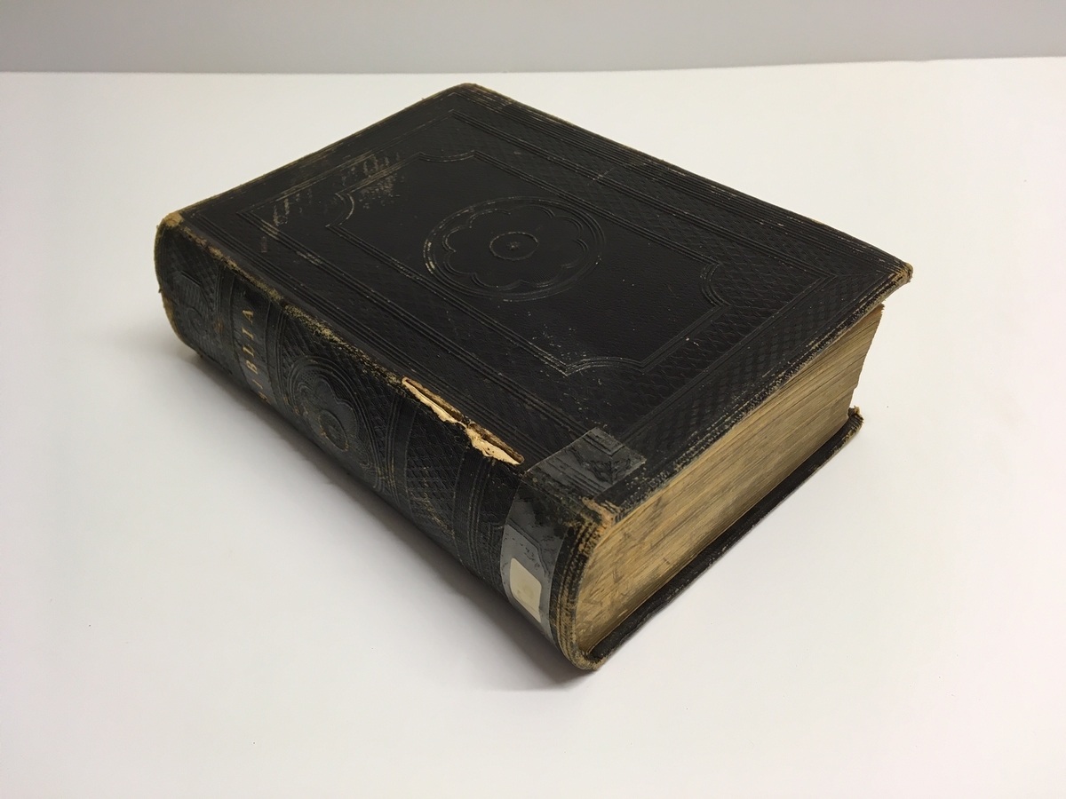 "Biblia eller Den heliga skrift, innehållande gamla och nya testamentets canoniska böcker." Ett flertal marginalanteckningar av S A Andrées hand.
Tryckt på brittiska och utländska bibel-sällskapets bekostnad, hos Spottiswoode och Cie.