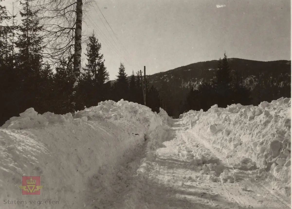 Tekst bakpå bildet: Fra "Minnemoen." Riksveien (Trondhjemsveien). Efter snestorm 12-14 mars 1931. 
Fig. 2, 3, 5. Trondhjemsveien i Eidsvolll etter snestorm 12-14 mars 1931. Jf.  "Meddelelser fra Veidirektøren Nr. 10- og Nr. 11-1931: "Snerydningen på våre veier vinteren 1930-1931". Se Nr.1-1932 side 11. (forts. fra Nr. 11-1931 s.171) Akershus fylke. 

Bilde 2) Helside i album "Snebrøyting og sneskjermer."

Se vedlegg i Nedlastinger lenger ned på siden. 
Ref. til "Meddelelser fra Veidirektøren", Nr. 3-1930,  "Snebrøytingsforsøk med 6-hjulere," av overingeniør N. Saxegaard.