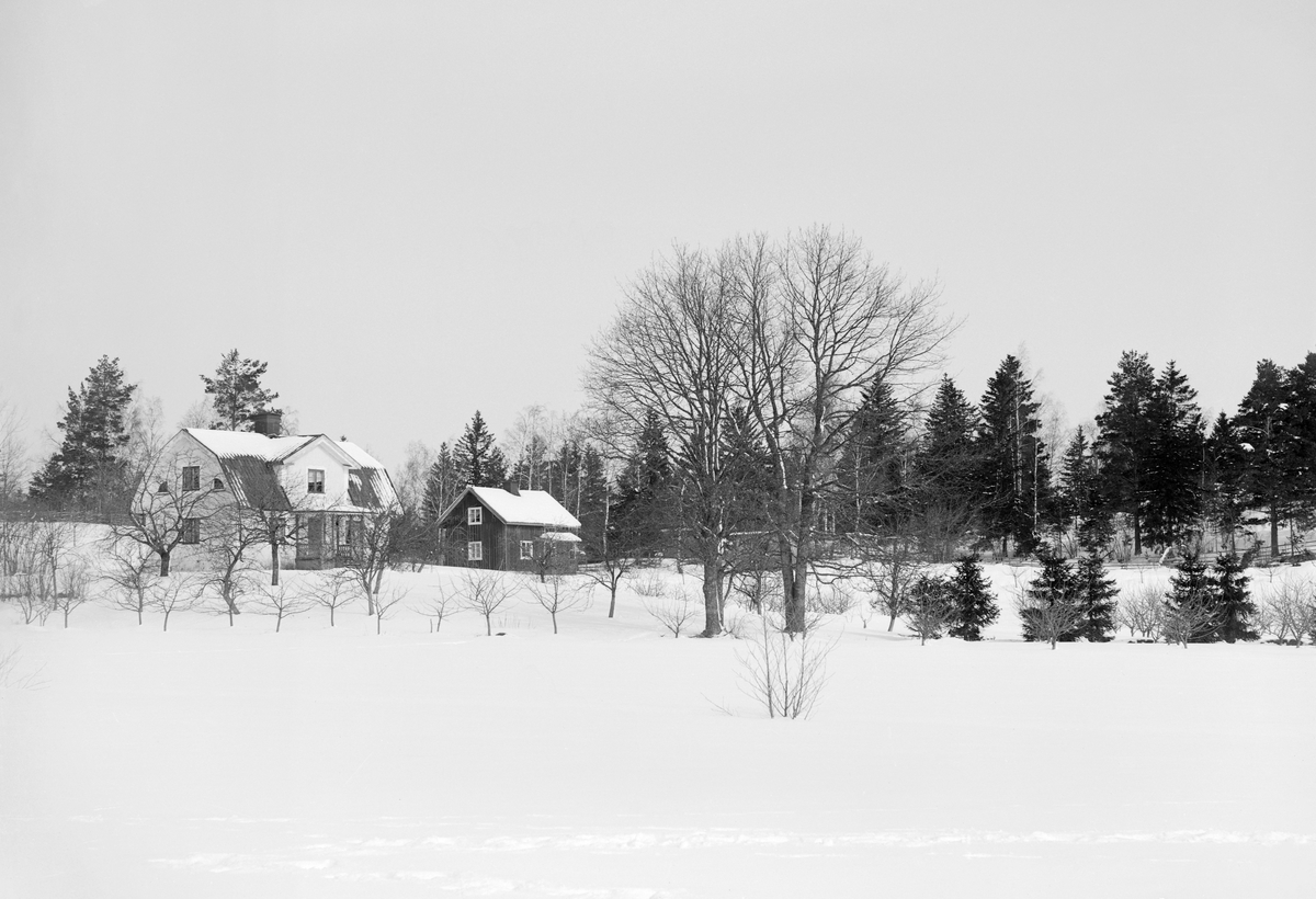 Lantbrukaren, fotografen och fruktodlaren Emil Durlings bostad Strömmen i Sankt Anna.
