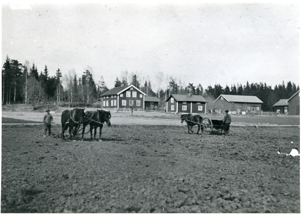 Norrby socken, Sala, Varmsätra.
Anders Olsgården. Vårbruk, 1915.