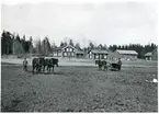 Norrby socken, Sala, Varmsätra.
Anders Olsgården. Vårbruk, 1915.