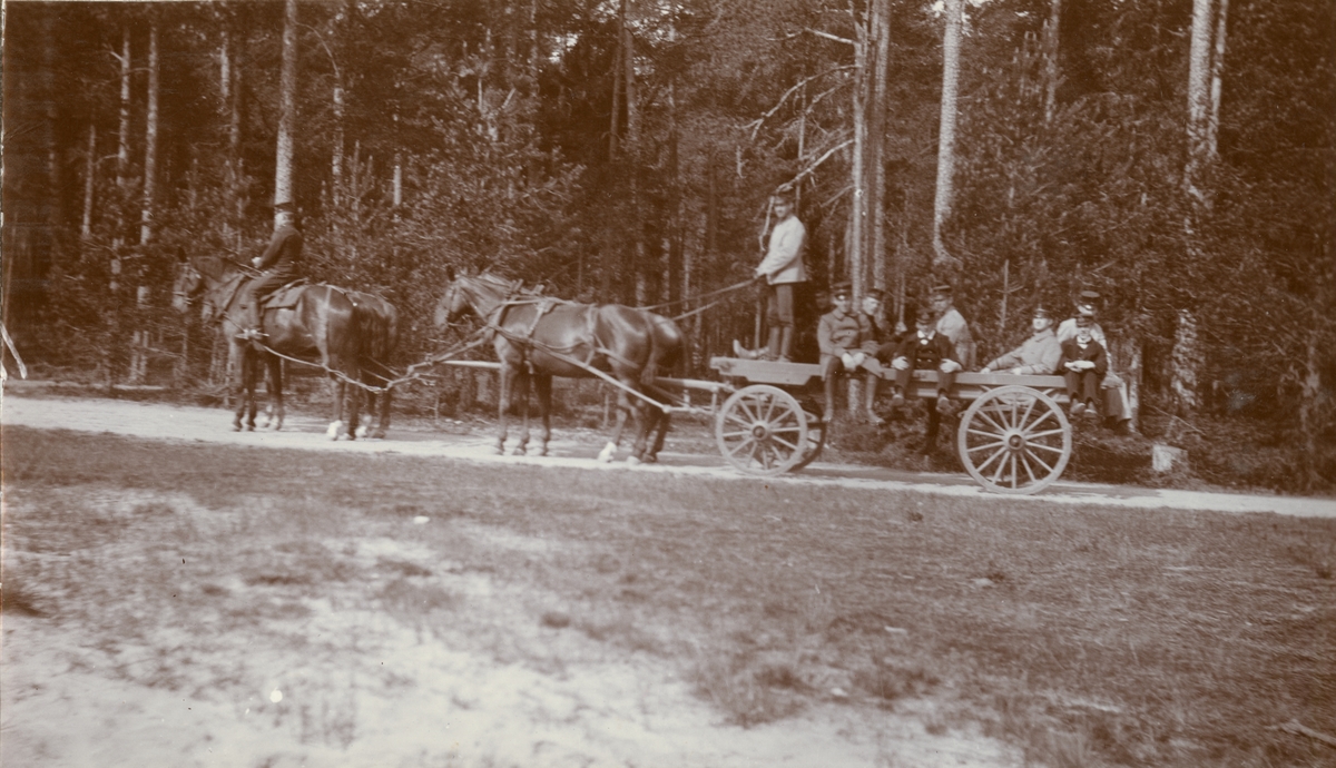 Transport med hästvagn.