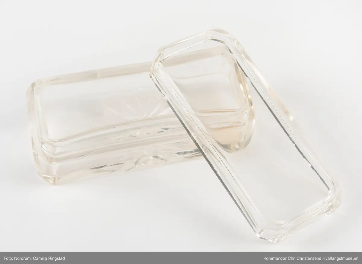 Kolibri i krystallglass