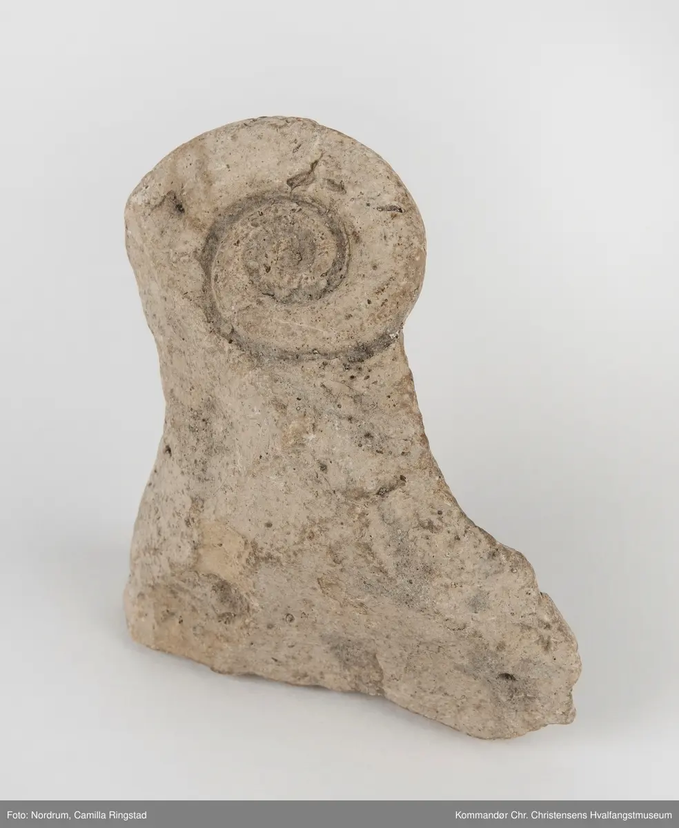 Fossil