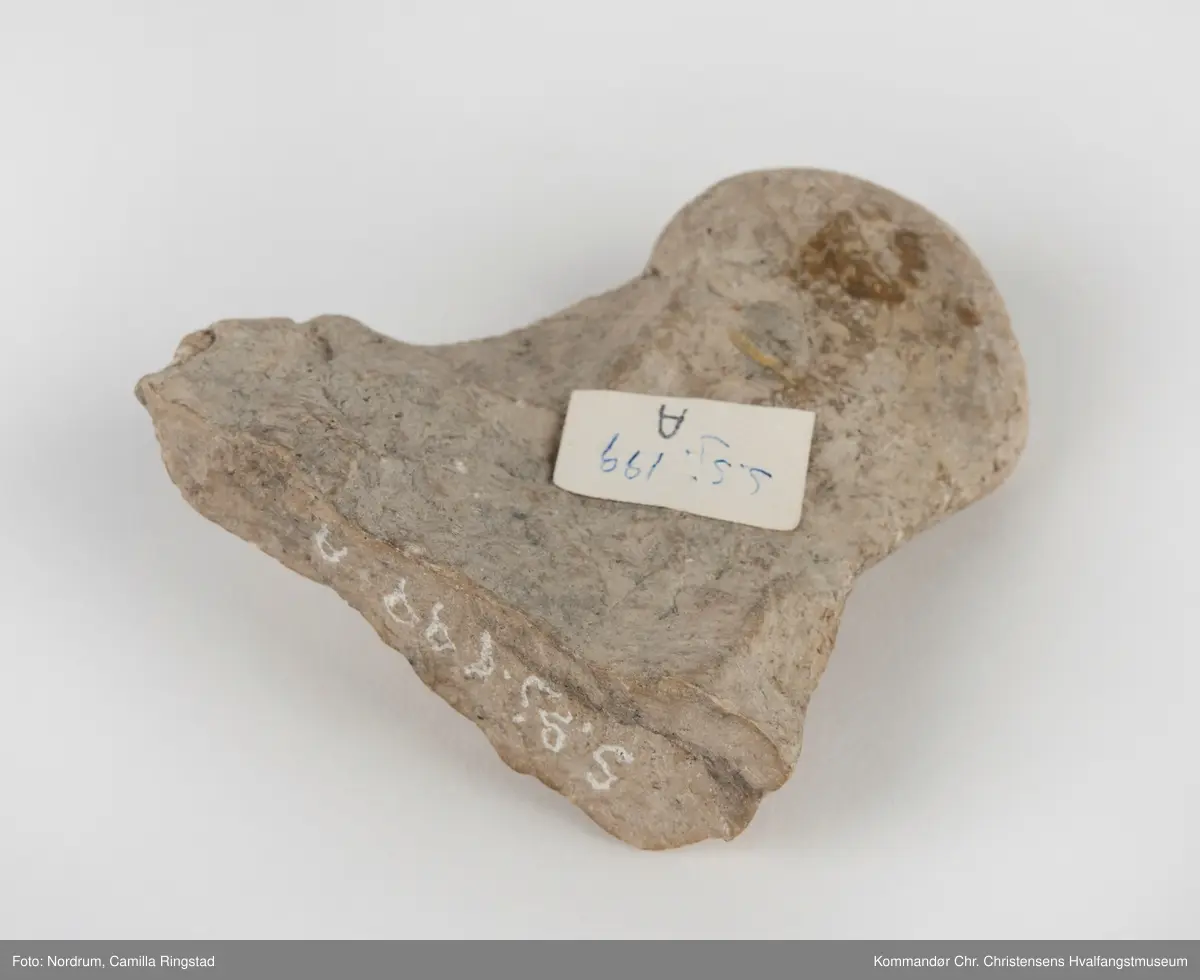 Fossil