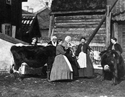 Wilhelmina Lagerholm - en konstnär från Örebro