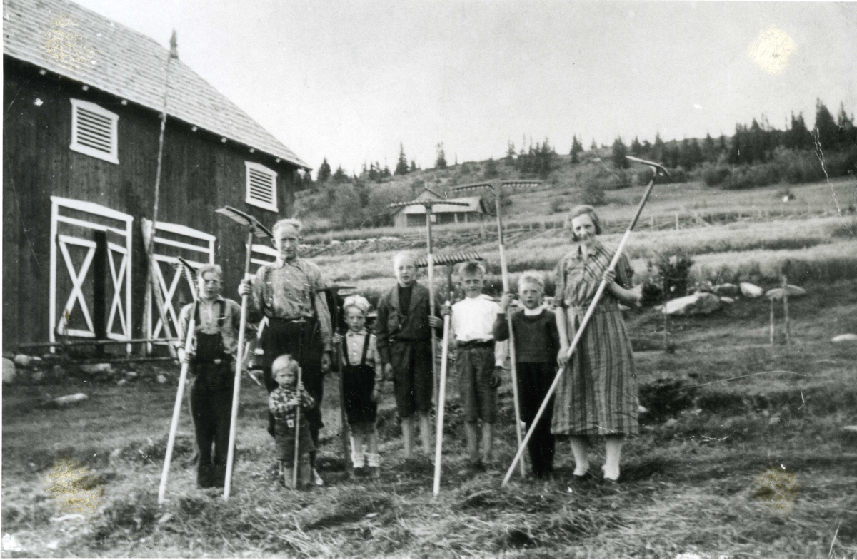 Nereng, Nord-Torpa
