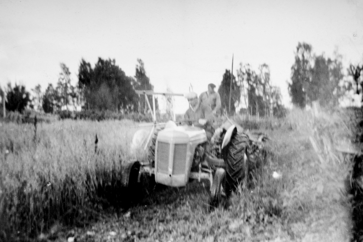 Saxlundhagen, husmannsplass unna Saxlund, Stange. Skuronn, traktor, gråtass, Sverre Simensen og Ole Kommisrud.