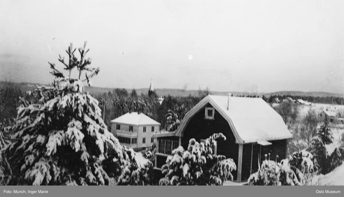 utsikt, bolighus, trær, snø,